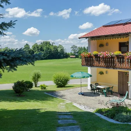 Bodensee Ravensburg Gruenkraut * Grunkraut